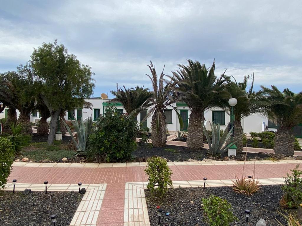 Casa Sandra Cocosol Costa De Antigua Buitenkant foto